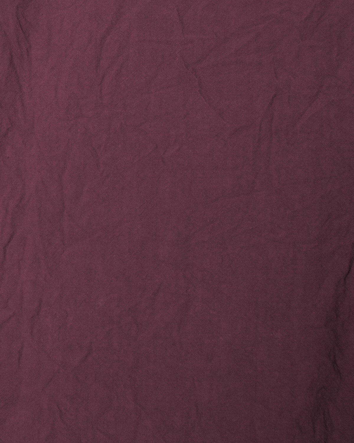 Haldis AW25
